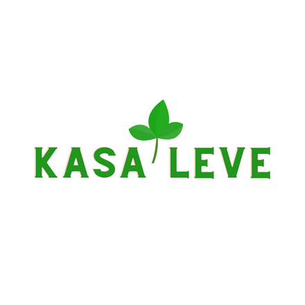 Kasa Leve